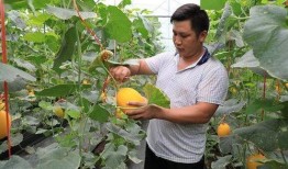 在景区吃瓜的网红是谁,揭秘在景区吃瓜的网红传奇